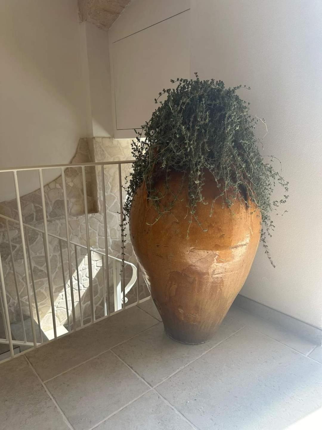 Un Giorno Bellissimo Suite & Spa Martina Franca Exteriör bild